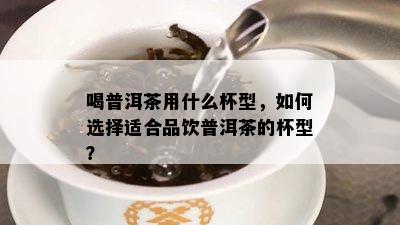 喝普洱茶用什么杯型，如何选择适合品饮普洱茶的杯型？