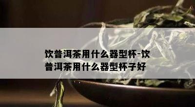 饮普洱茶用什么器型杯-饮普洱茶用什么器型杯子好