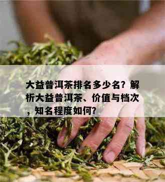 大益普洱茶排名多少名？解析大益普洱茶、价值与档次，知名程度如何？