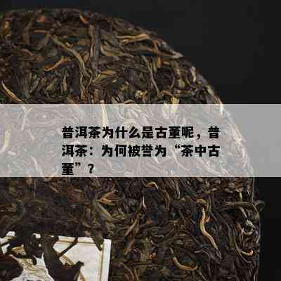 普洱茶为什么是古董呢，普洱茶：为何被誉为“茶中古董”？