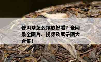 普洱茶怎么摆放好看？全网最全图片、视频及展示图大合集！