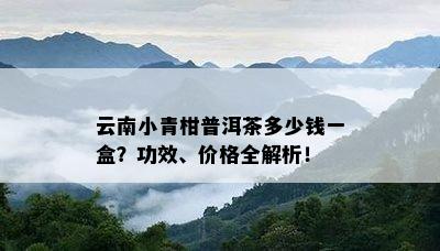 云南小青柑普洱茶多少钱一盒？功效、价格全解析！