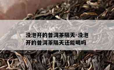 没泡开的普洱茶隔天-没泡开的普洱茶隔天还能喝吗