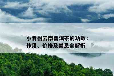 小青柑云南普洱茶的功效：作用、价格及禁忌全解析