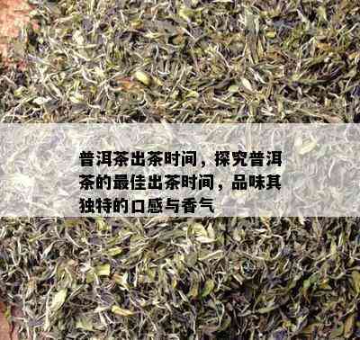 普洱茶出茶时间，探究普洱茶的更佳出茶时间，品味其独特的口感与香气