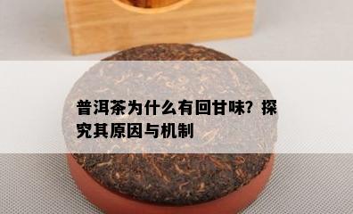 普洱茶为什么有回甘味？探究其原因与机制