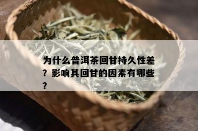 为什么普洱茶回甘持久性差？影响其回甘的因素有哪些？