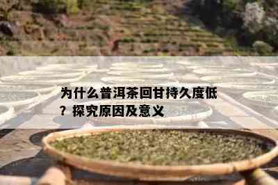 为什么普洱茶回甘持久度低？探究原因及意义