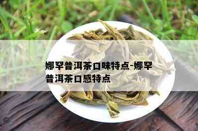 娜罕普洱茶口味特点-娜罕普洱茶口感特点