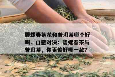 碧螺春茶花和普洱茶哪个好喝，口感对决：碧螺春茶与普洱茶，你更偏好哪一款？