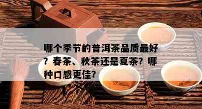 哪个季节的普洱茶品质更好？春茶、秋茶还是夏茶？哪种口感更佳？