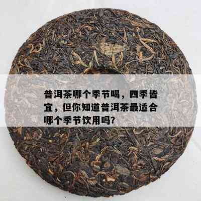 普洱茶哪个季节喝，四季皆宜，但你知道普洱茶最适合哪个季节饮用吗？