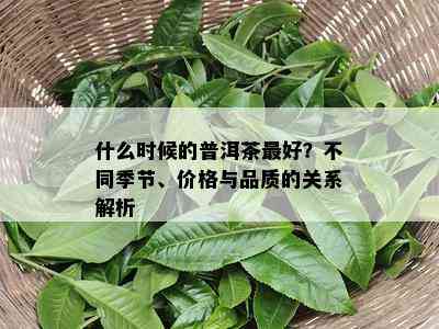 什么时候的普洱茶更好？不同季节、价格与品质的关系解析