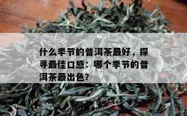 什么季节的普洱茶更好，探寻更佳口感：哪个季节的普洱茶最出色？