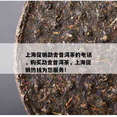 上海促销勐舍普洱茶的电话，购买勐舍普洱茶，上海促销热线为您服务！