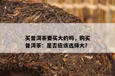 买普洱茶要买大的吗，购买普洱茶：是否应该选择大？