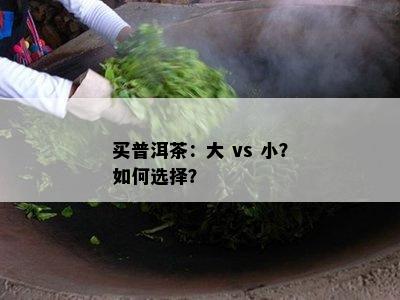 买普洱茶：大 vs 小？如何选择？