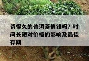 留得久的普洱茶值钱吗？时间长短对价格的影响及更佳存期