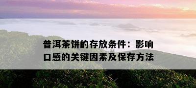 普洱茶饼的存放条件：影响口感的关键因素及保存方法