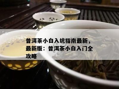 普洱茶小白入坑指南最新，最新版：普洱茶小白入门全攻略