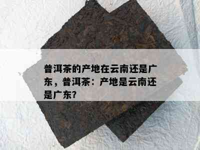 普洱茶的产地在云南还是广东，普洱茶：产地是云南还是广东？