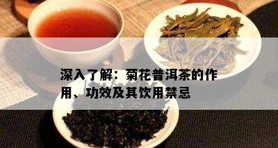 深入了解：菊花普洱茶的作用、功效及其饮用禁忌