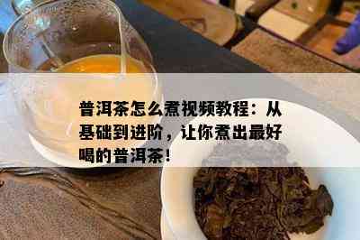 普洱茶怎么煮视频教程：从基础到进阶，让你煮出更好喝的普洱茶！