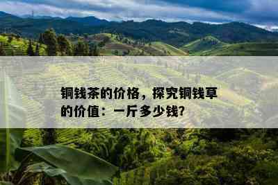 铜钱茶的价格，探究铜钱草的价值：一斤多少钱？