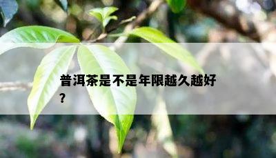 普洱茶是不是年限越久越好？