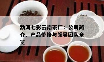 勐海七彩云南茶厂：公司简介、产品价格与领导团队全览