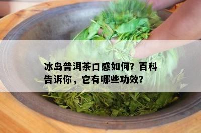 冰岛普洱茶口感如何？百科告诉你，它有哪些功效？