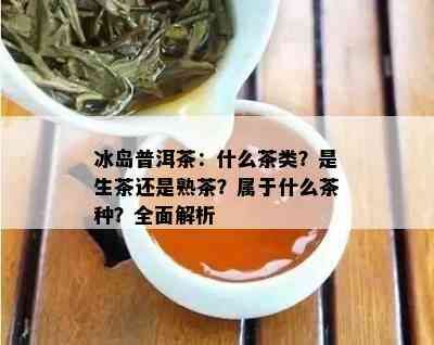 冰岛普洱茶：什么茶类？是生茶还是熟茶？属于什么茶种？全面解析