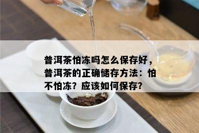 普洱茶怕冻吗怎么保存好，普洱茶的正确储存方法：怕不怕冻？应该如何保存？