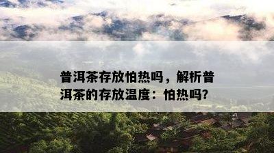 普洱茶存放怕热吗，解析普洱茶的存放温度：怕热吗？