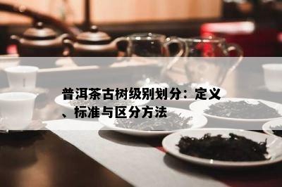 普洱茶古树级别划分：定义、标准与区分方法