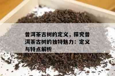 普洱茶古树的定义，探究普洱茶古树的独特魅力：定义与特点解析