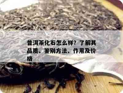 普洱茶化石怎么样？了解其品质、鉴别方法、作用及价格