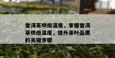 普洱茶烘焙温度，掌握普洱茶烘焙温度，提升茶叶品质的关键步骤