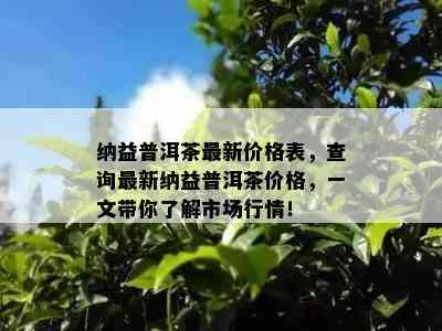 纳益普洱茶最新价格表，查询最新纳益普洱茶价格，一文带你了解市场行情！