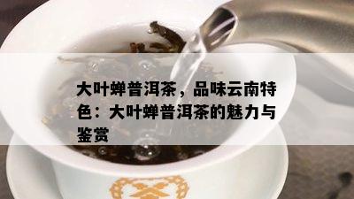 大叶蝉普洱茶，品味云南特色：大叶蝉普洱茶的魅力与鉴赏