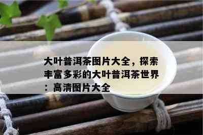 大叶普洱茶图片大全，探索丰富多彩的大叶普洱茶世界：高清图片大全