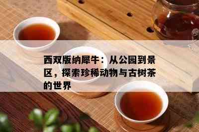 西双版纳犀牛：从公园到景区，探索珍稀动物与古树茶的世界