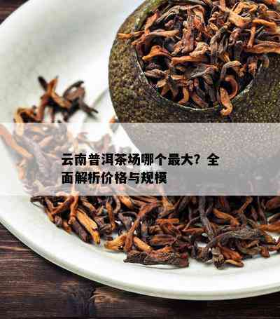 云南普洱茶场哪个更大？全面解析价格与规模