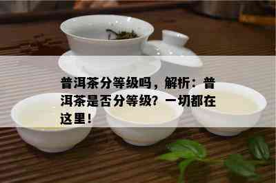 普洱茶分等级吗，解析：普洱茶是否分等级？一切都在这里！