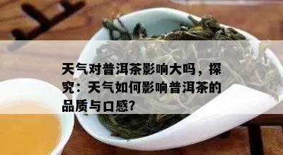 天气对普洱茶影响大吗，探究：天气如何影响普洱茶的品质与口感？