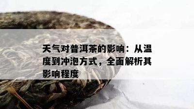 天气对普洱茶的影响：从温度到冲泡方式，全面解析其影响程度