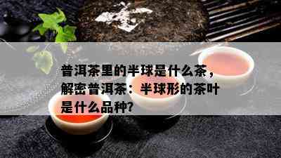 普洱茶里的半球是什么茶，解密普洱茶：半球形的茶叶是什么品种？