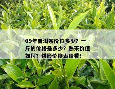 09年普洱茶价位多少？一斤的价格是多少？熟茶价值如何？饼形价格表请看！