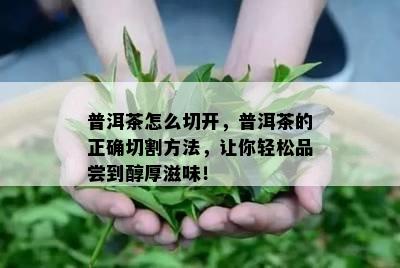 普洱茶怎么切开，普洱茶的正确切割方法，让你轻松品尝到醇厚滋味！