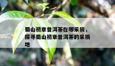 蜀山初章普洱茶在哪采摘，探寻蜀山初章普洱茶的采摘地